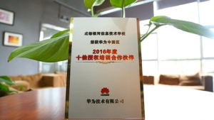 华为十佳授权培训伙伴(2016)